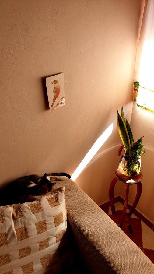 Chacara Artistica Em Socorro-Sp Villa โซกอร์โฮ ภายนอก รูปภาพ